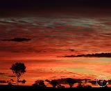 Australian Sunset 9R032D-424